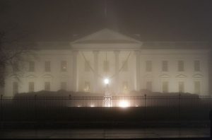 fogwhite